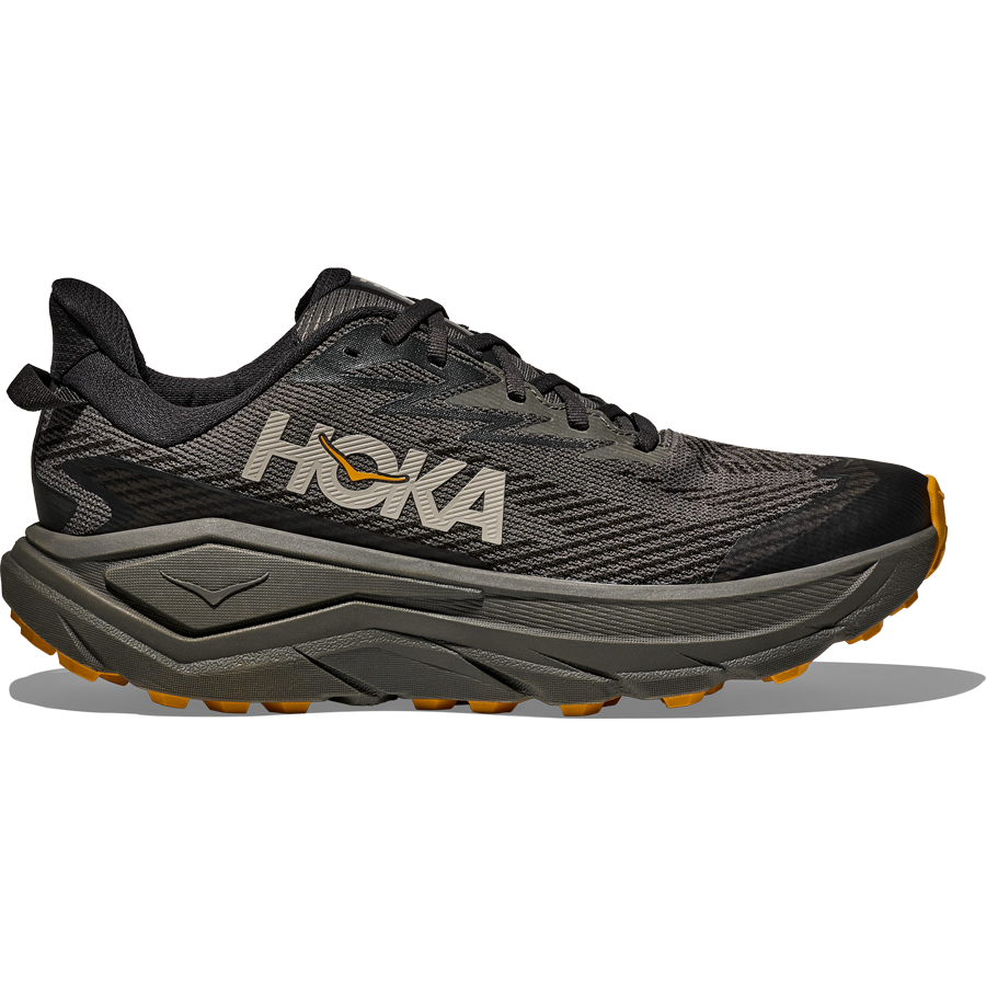 Men's Challenger 8 GTX